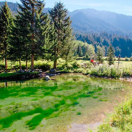 Almhütte Fellimännle Tatil Evi
