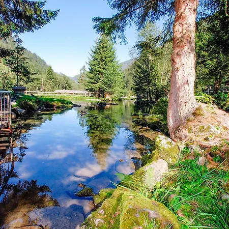 Almhuette Fellimaennle Silbertal