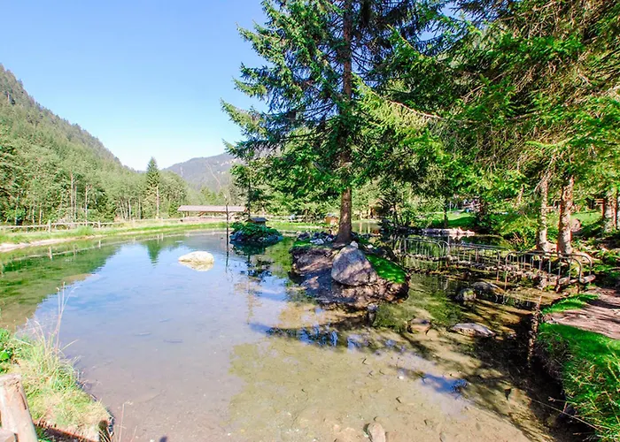 Almhuette Fellimaennle *